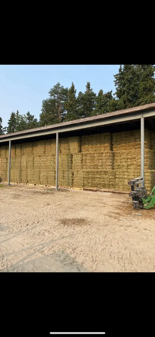 Hay for Sale - Photo 3