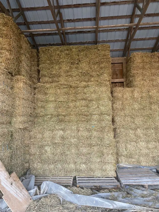 Hay for Sale - Photo 5