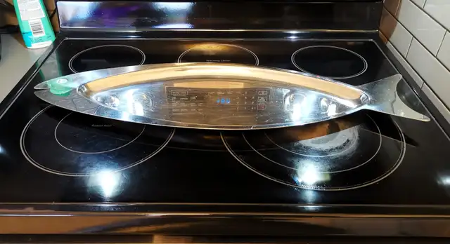 Big Stainless Steel Large Fish Type Party Tray - Photo 4