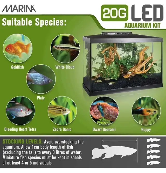 Marina 20G LED Aquarium Kit - Photo 4