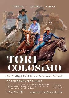 TC Performance Horse Training