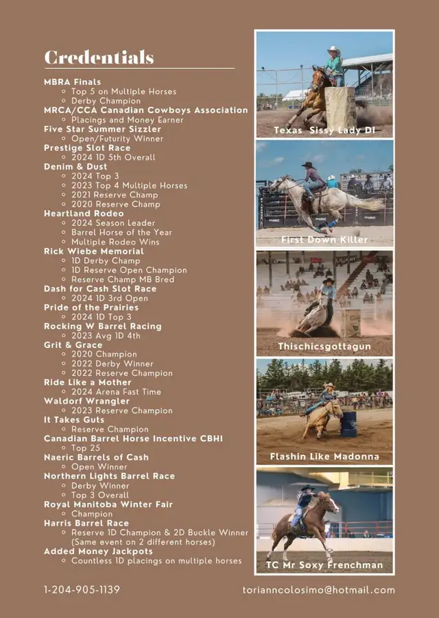 TC Performance Horse Training - Photo 2