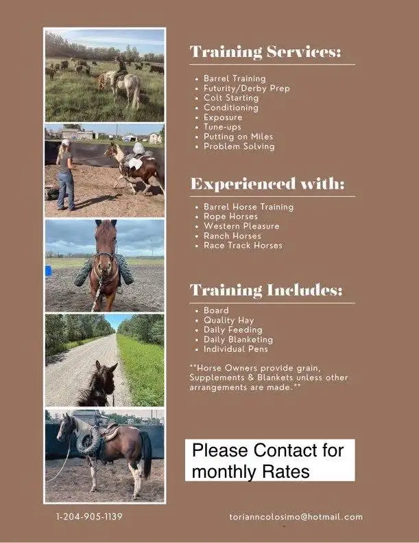 TC Performance Horse Training - Photo 3