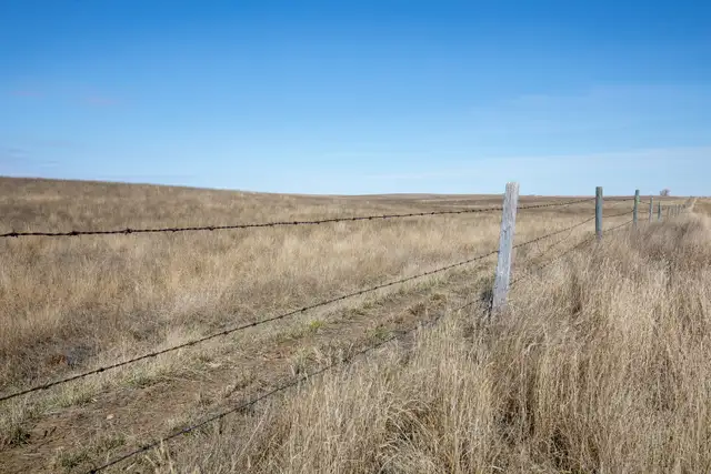 4 Qtrs Deeded Land   1 Qtr Assignable Crown Lease | Parkbeg, SK - Photo 4