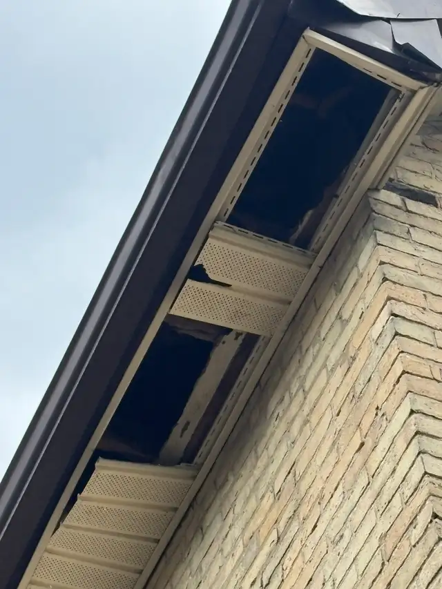 Labourer needed - Photo 3