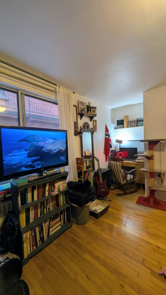 Studio 1 1/2 tranquille, bien situé - Plateau Mont-Royal - Photo 2