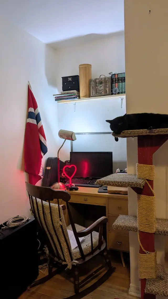 Studio 1 1/2 tranquille, bien situé - Plateau Mont-Royal - Photo 3