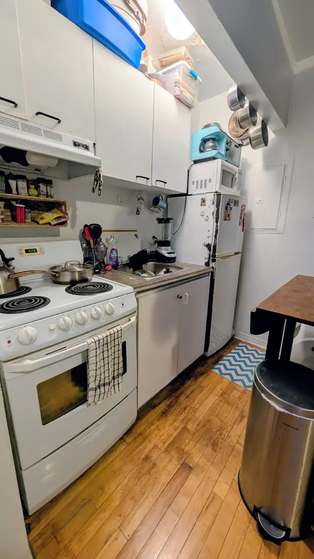 Studio 1 1/2 tranquille, bien situé - Plateau Mont-Royal - Photo 4