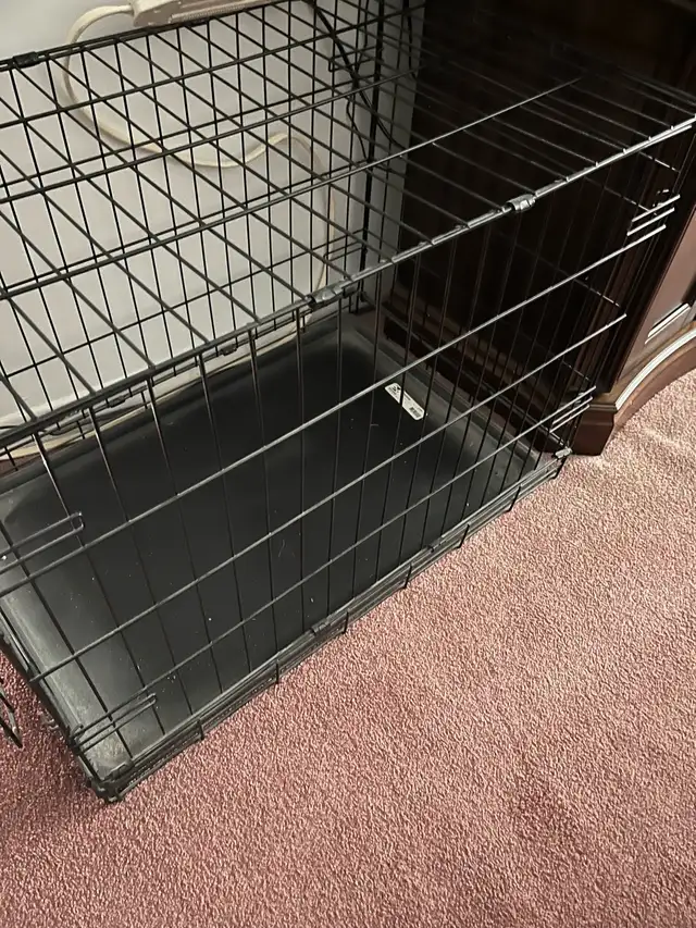 Dog Crate & Bed