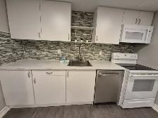 Luxury 1 Br Bsmt Apt Whites/Finch
