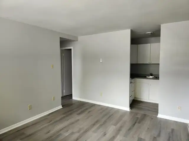 Bright, cozy 1 bdrm 1 bath, North end, walk to amenities - Photo 2