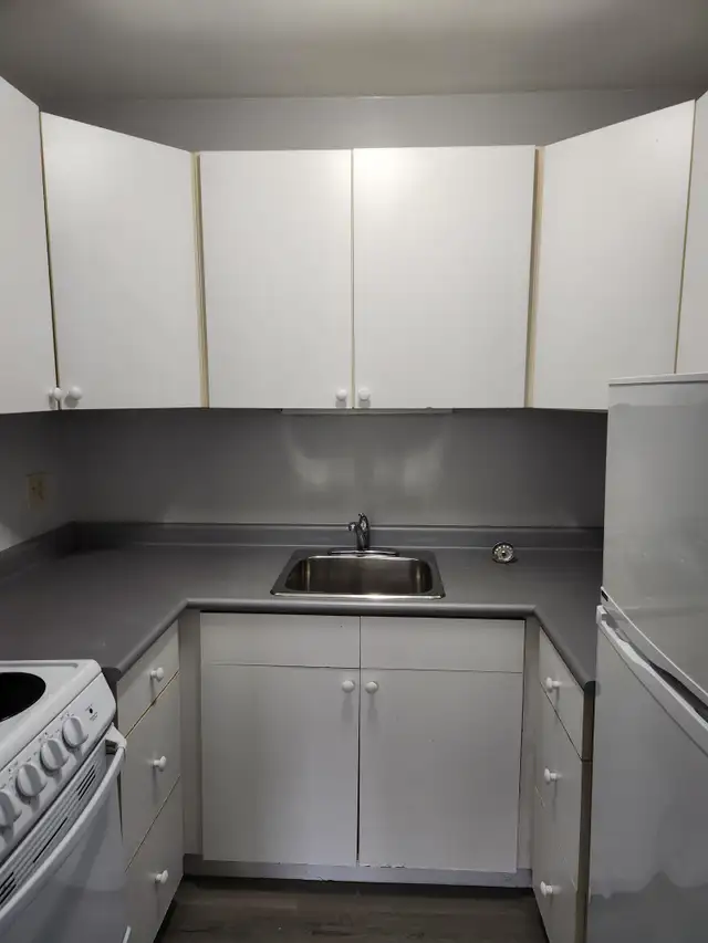 Bright, cozy 1 bdrm 1 bath, North end, walk to amenities - Photo 3