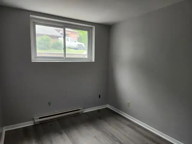 Bright, cozy 1 bdrm 1 bath, North end, walk to amenities - Photo 4