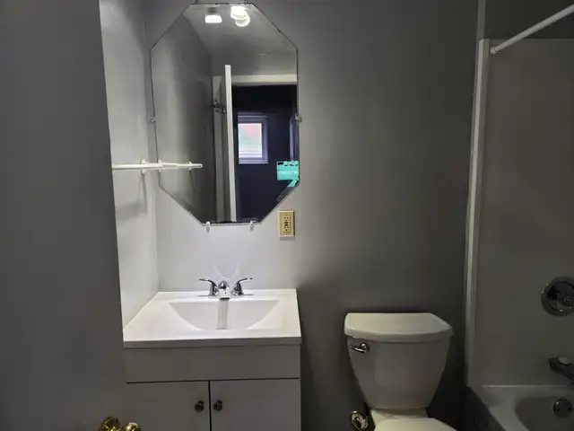 Bright, cozy 1 bdrm 1 bath, North end, walk to amenities - Photo 7