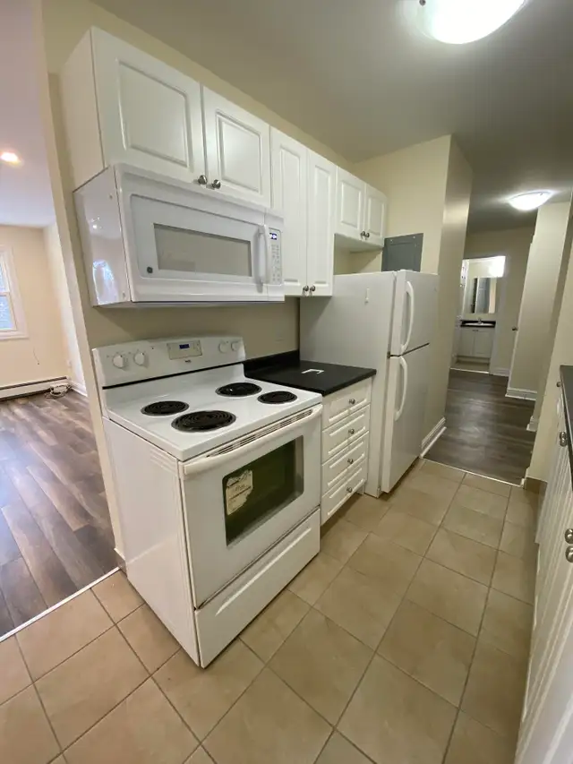 Spacious 2BRs - MacIntosh Pointe - Aug 1st - Heat/Wat/Pkg Incld - Photo 4