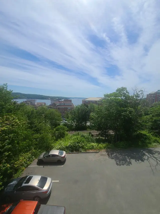 Bedford Hwy 2BR| Unit 301 - July 15th-In-Suite Laundry-Heat Inc - Photo 15