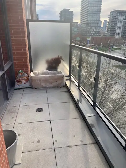 Large one plus den condo for rent Toronto - Photo 18