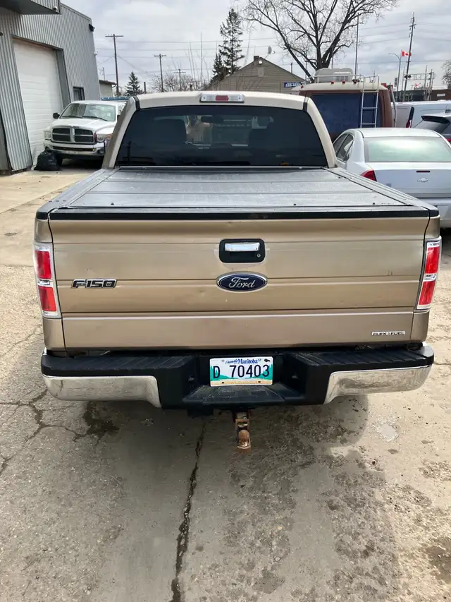 4x4 ~ 2014 Ford F150 XLT Crew Cab ~ SAFETIED - Photo 5