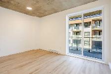 Studio, à ,louer,rent,St-Leonard,CittàII - Photo 6
