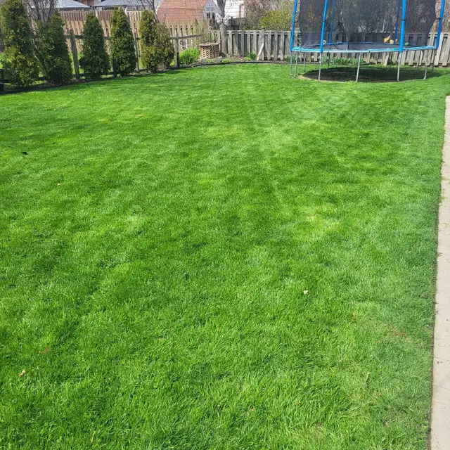 Lawn Care Service - Photo 3