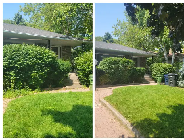 Lawn Care Service - Photo 4