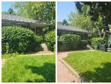 Lawn Care Service - Photo 4
