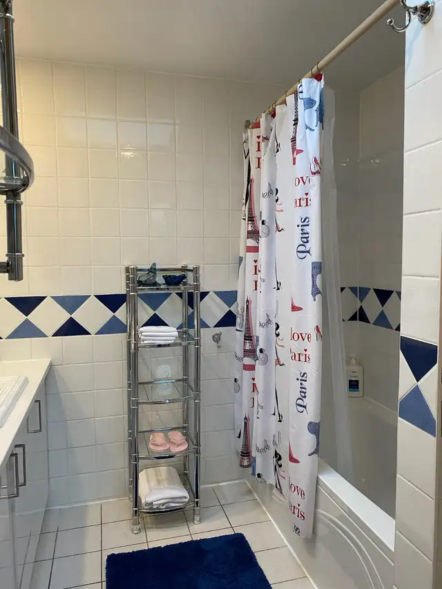 1 room for rent short term. Downtown Montreal near metro Atwater - Photo 8