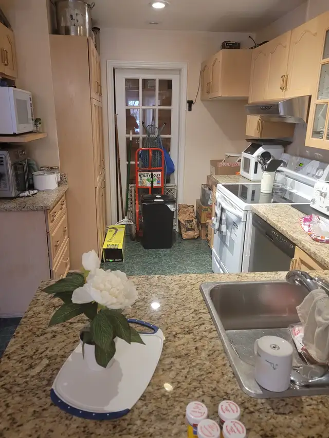 !!!!!!    VERY BIG ROOM FOR RENT WOODROFFE & CARLING  !! - Photo 4