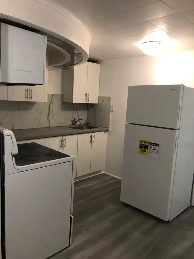 Furnished Rooms for Rent at Victoria Park Ave and Ellesmere Road - Photo 6