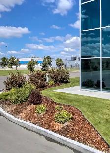 Spring Lawn Services