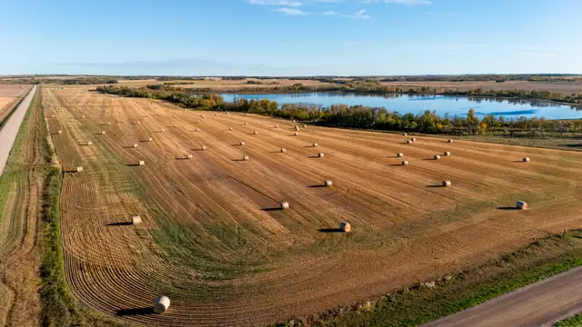 944.94 Acres | RM of Meeting Lake # 466 | Near Mayfair, SK - Photo 10
