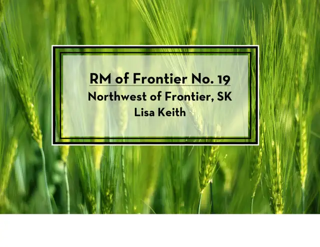 Land for RENT by TENDER - RM of Frontier - NW of Frontier SK