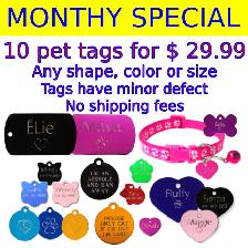 Only $ 5.99 Pet ID Tag - Custom Engraved Cat Dog Puppy & Collars