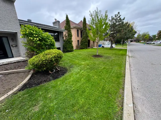 Lawn and yard maintenance Spring Clean Ups - Photo 3