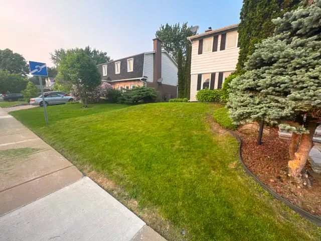 Lawn and yard maintenance Spring Clean Ups - Photo 4