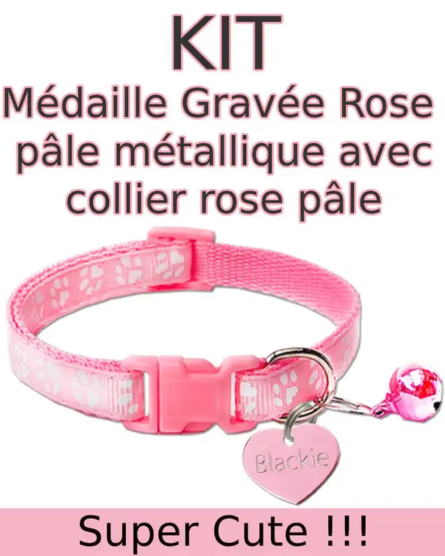 Médaille Gravée Personnalisée pour Chien et Chat $ 5.99 - Photo 3