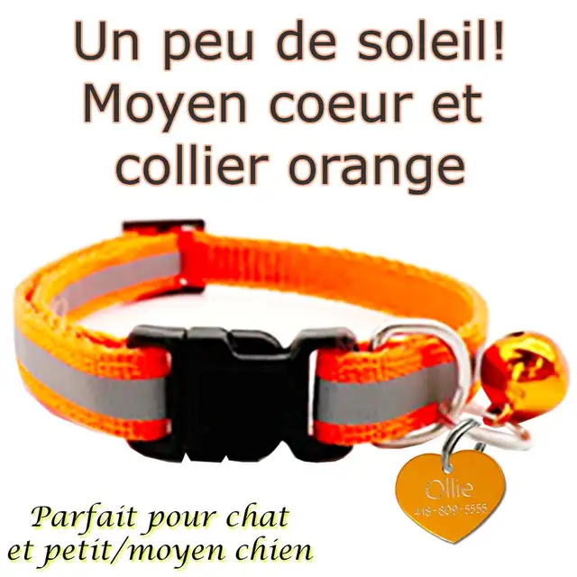 Médaille Gravée Personnalisée pour Chien et Chat $ 5.99 - Photo 5