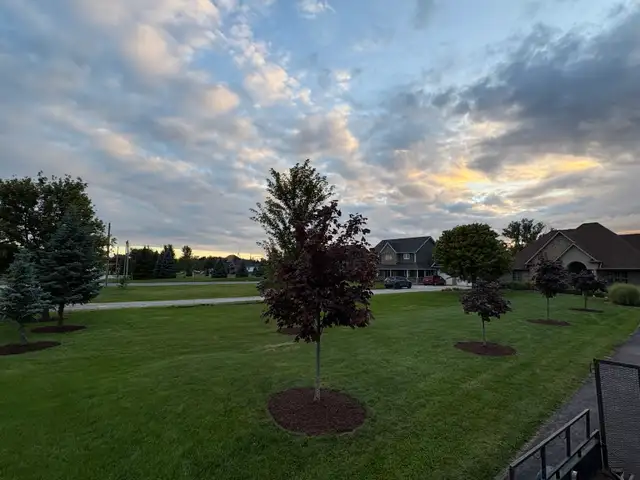 Landscaping - Photo 4