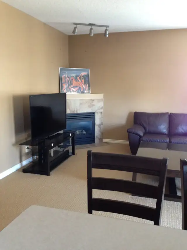 Fully furnished luxury condo in downtown - Photo 4