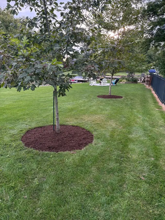 Landscaping - Photo 2