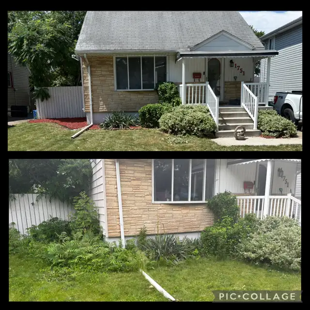 Landscaping - Photo 3