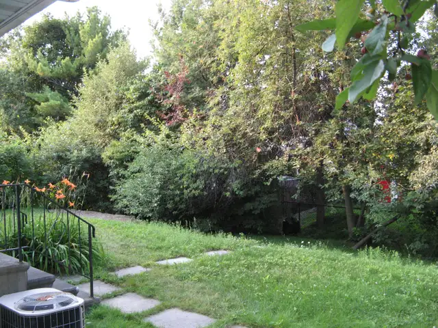 Room for rent close to Carleton U, One bus to uOttawa - Photo 8