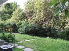 Room for rent close to Carleton U, One bus to uOttawa - Photo 8