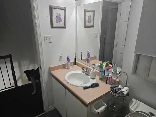 rooms for rent in Kanata Lakes - Photo 6