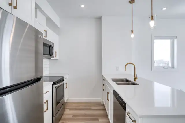 LUXURY 2 Bed 2 Bath Apartment! Move In Ready! - Photo 2