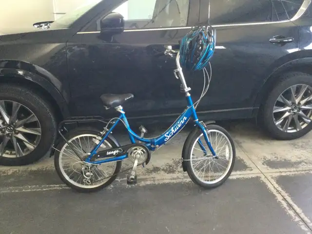 Foldable adult bike