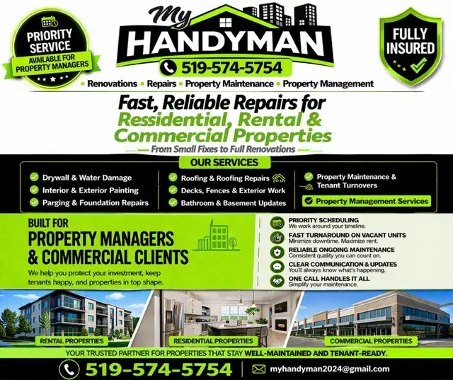 Professional Handyman Services