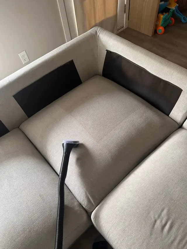 Sofa steam cleaning for sale