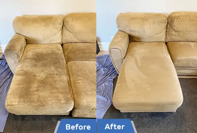Sofa steam cleaning for sale - Photo 3