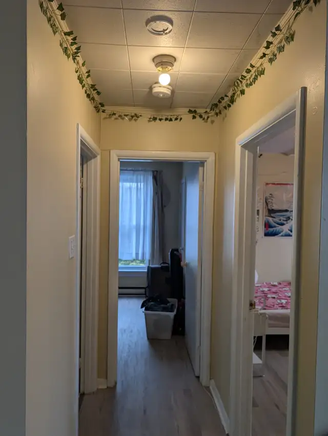 Two bedroom near Queen's and downtown - Photo 10